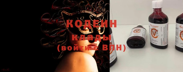 хмурый Карпинск