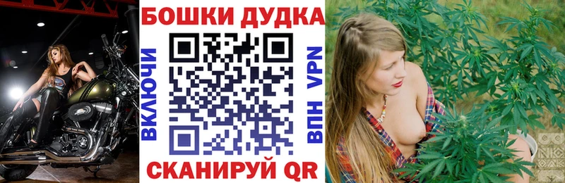 Шишки марихуана Bruce Banner  Купить  Краснодар 